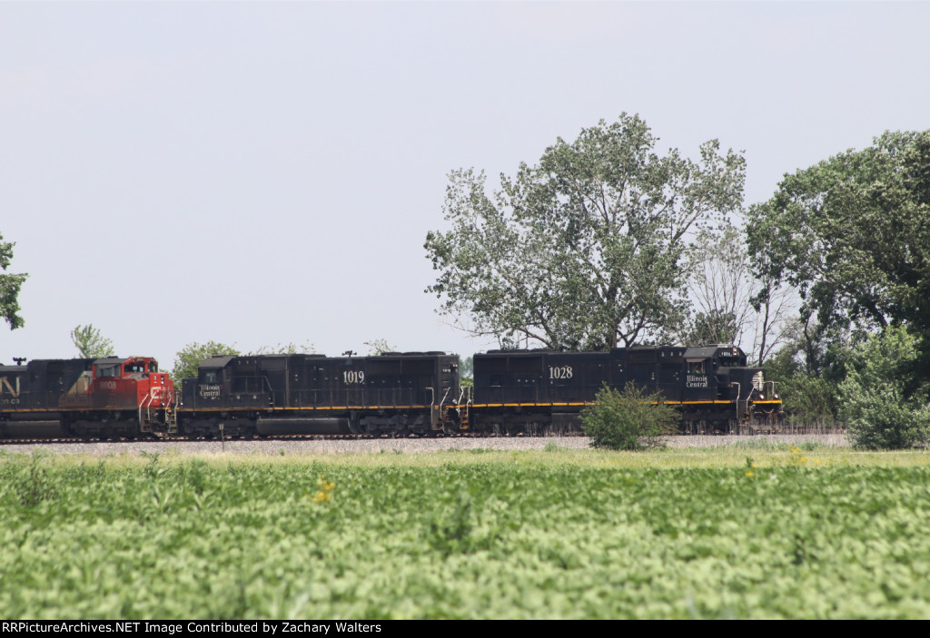 IC 1028 1019
